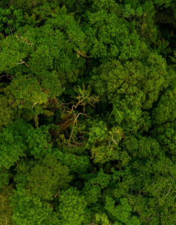 Un guide méthodologique du Cerema: La nature source de biodiversité dans les territoires - De l’outil à la stratégie